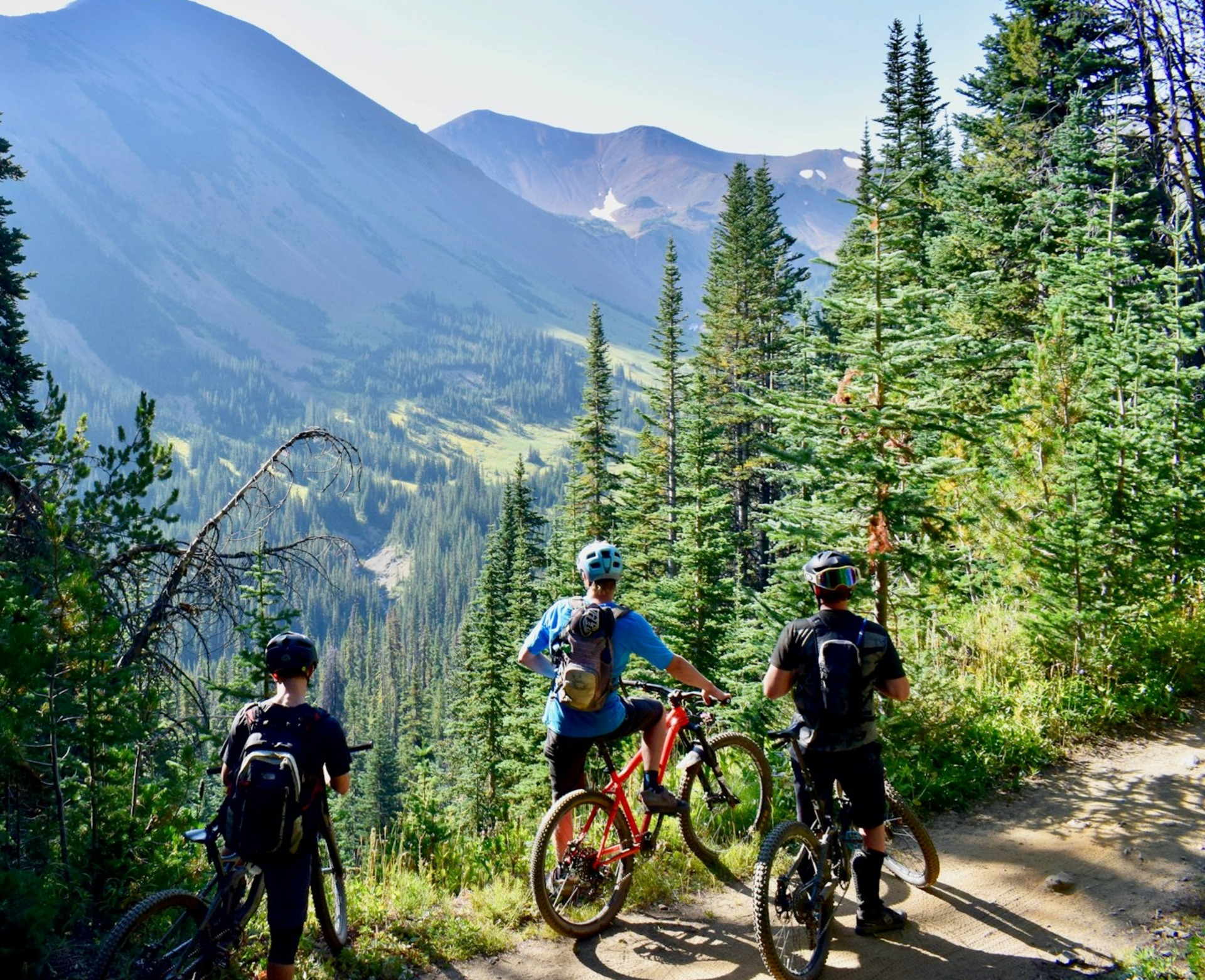 three person riding on bicycles during daytime